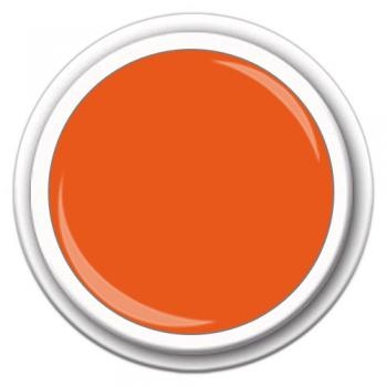 FF Color FG-​232 Summer Orange 5g