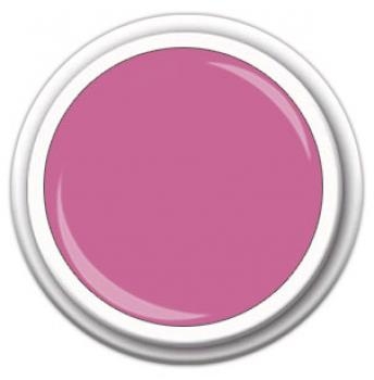 FF Farbgel / Colorgel 5gr. FG202 Pink Poeny Primavera
