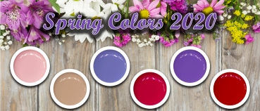 RM PREMIUM Farbgel 6x 5ml Spring Color Set